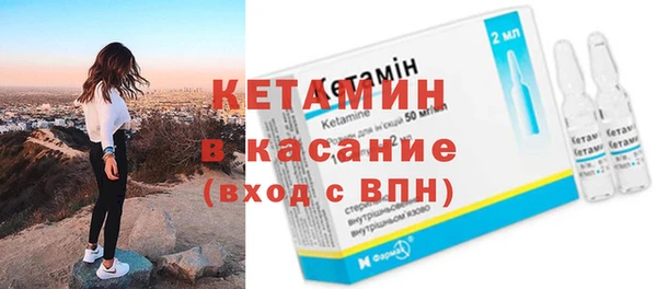 прущие грибы Абаза