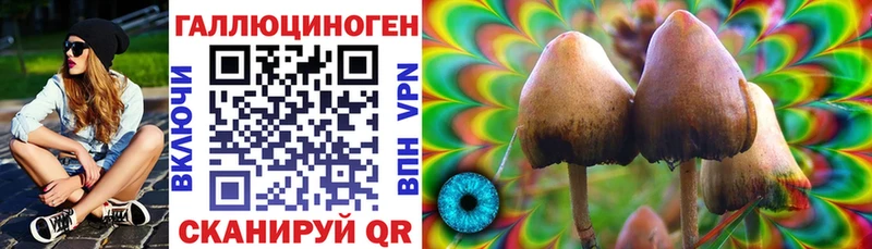 Галлюциногенные грибы Psilocybine cubensis  Собинка 
